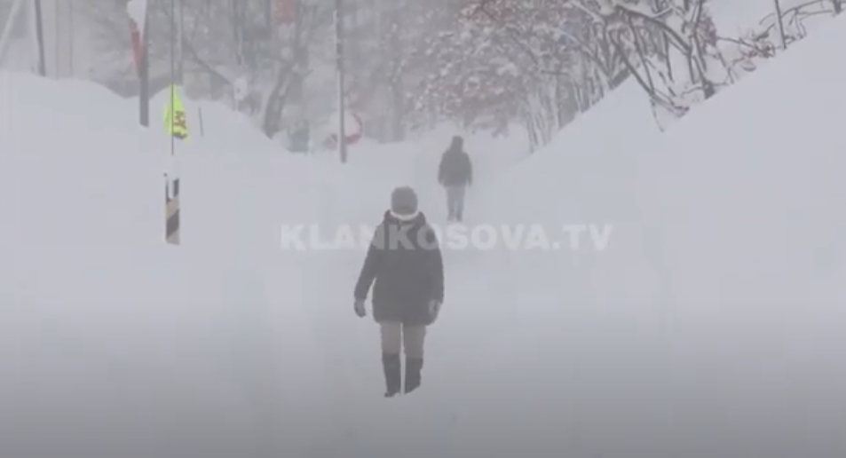Bora e acari ngrijnë veriun japonez (VIDEO)