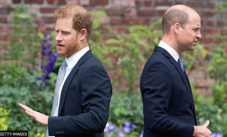 Princi Harry akuzon Princin William për sulm fizik në librin autobiografik