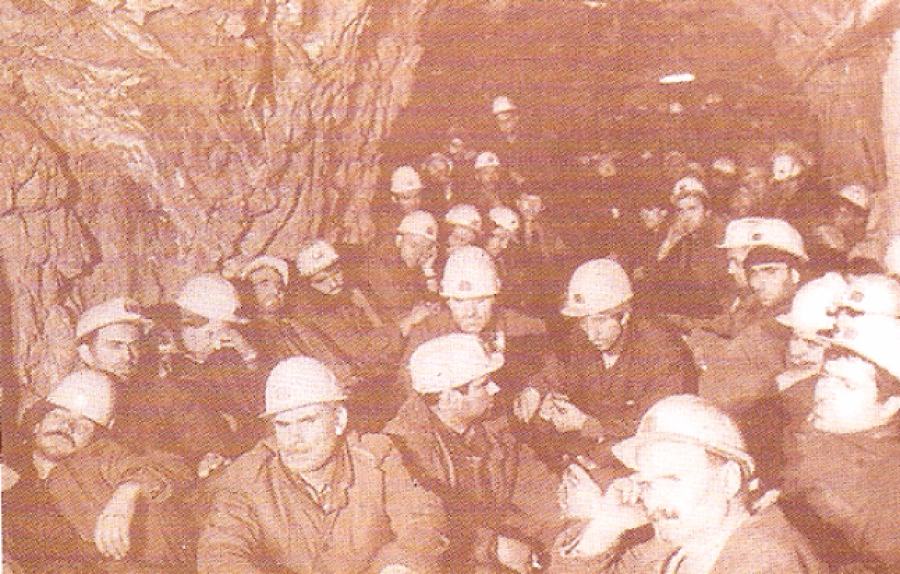 Trepça në shekullin XX, një copë e madhe e kauzës së Kosovës