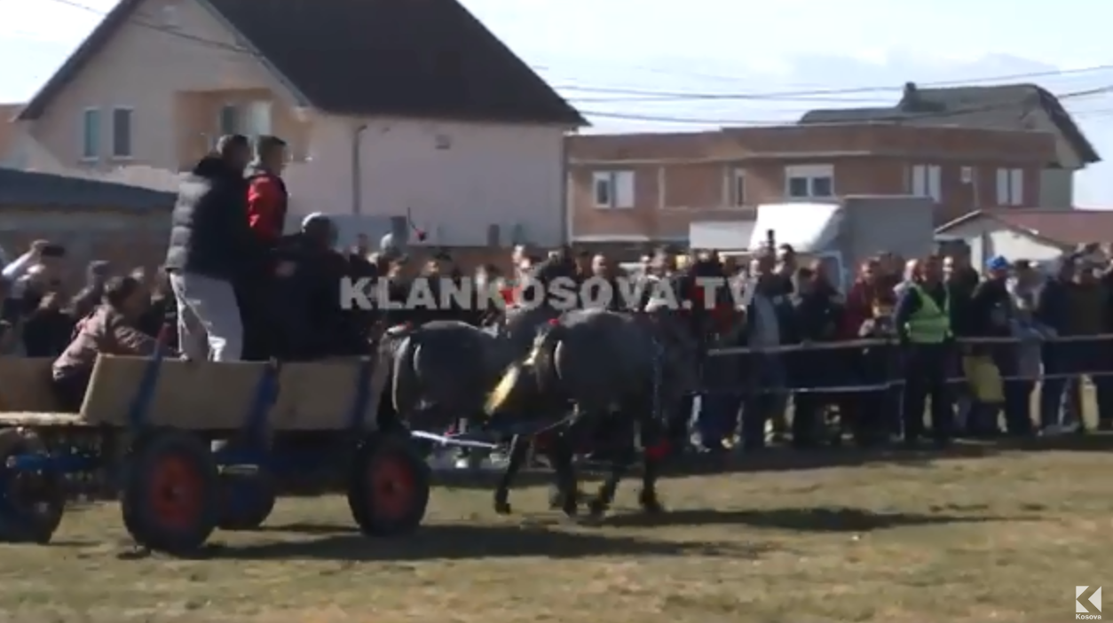 Në Prelez të Muhaxherëve festohet duke organizuar garë kuajsh (VIDEO)
