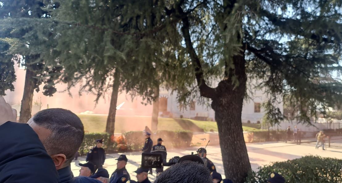 Protesta e opozitës në Shqipëri, hidhen tymuese në drejtim të parlamentit (VIDEO)