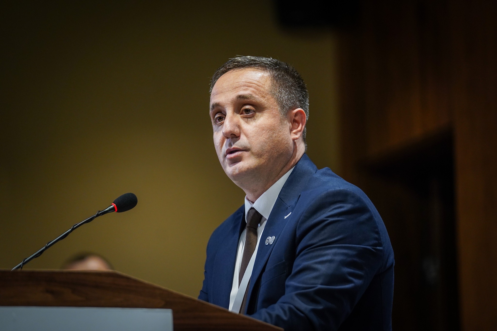 Skandalet e qeverisë, Selmanaj: Kurti u shndërrua në avokat të tyre, është vjedhur me leje të tij