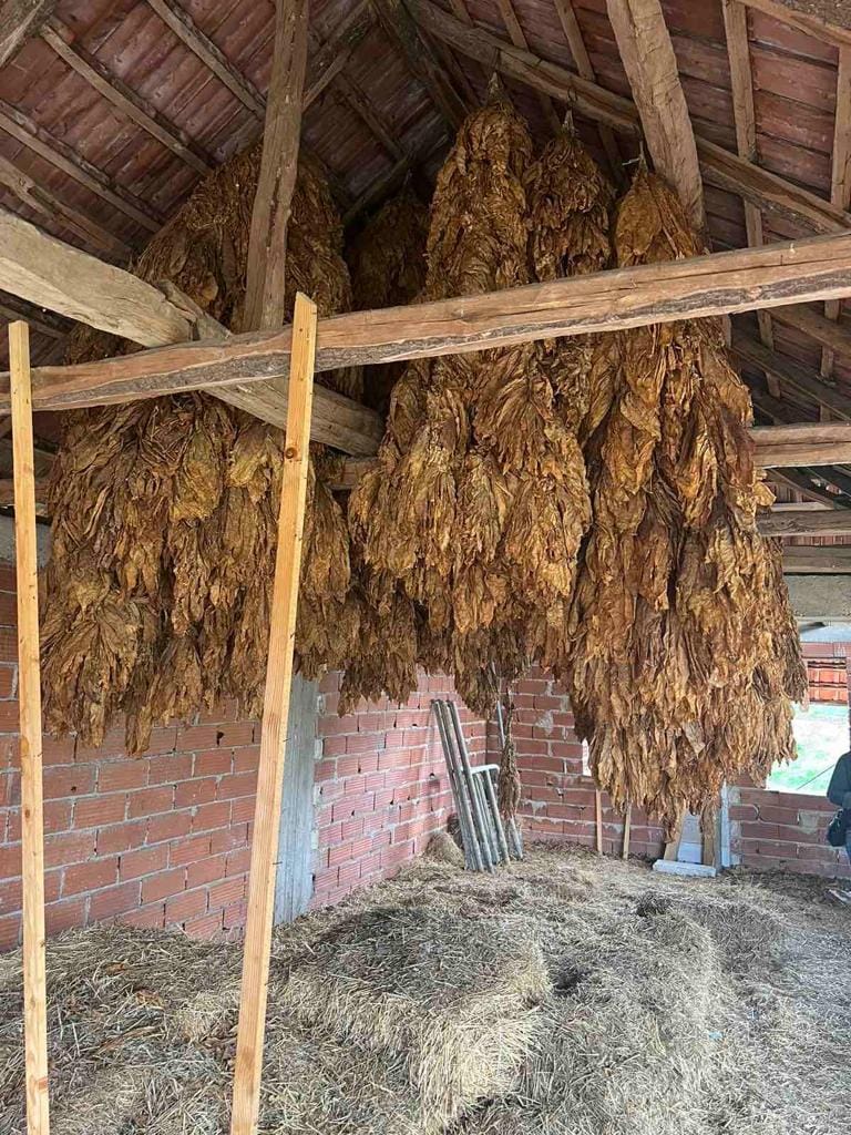 Viti: Konfiskohen 500 kilogramë duhan, dyshohet se u kontrabandua nga Maqedonia e Veriut