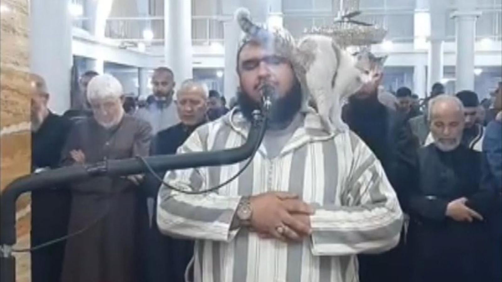 Macja i hidhet në qafë Imamit që po bënte lutjet e Ramazanit në Algjeri (VIDEO)
