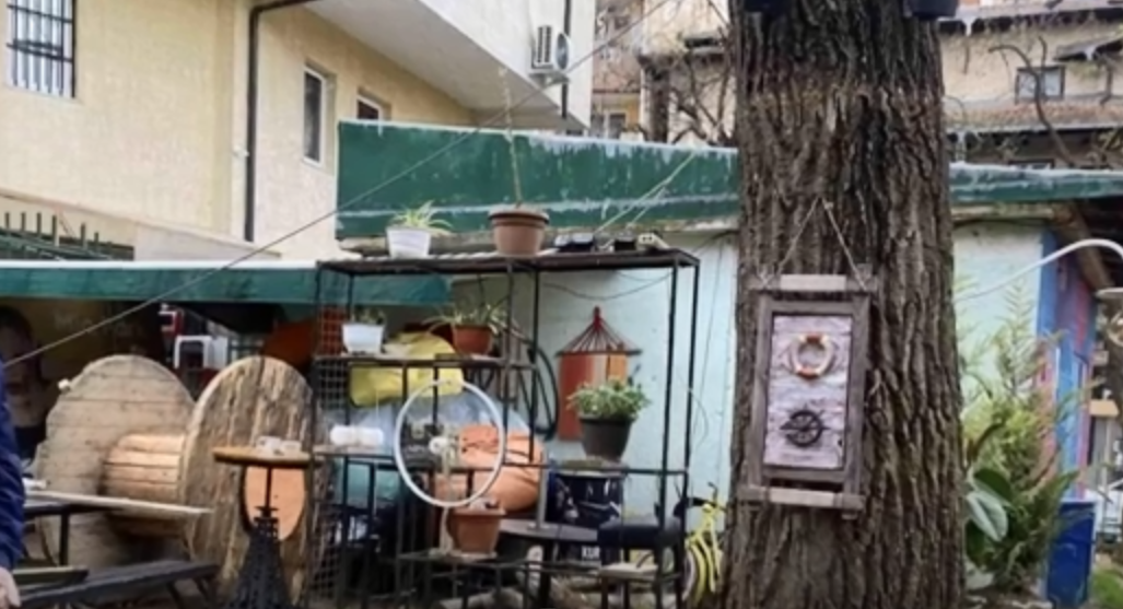 Prishtinë: Hiqen ulëset e tavolinat, mbillen pemë në Parkun e Qytetit