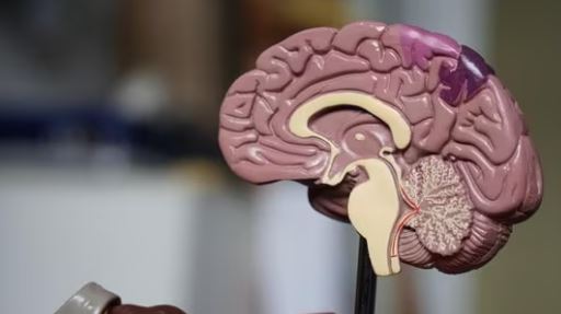 Sipas një studimi, valët e trurit mund të parashikojnë dëmtimin kognitiv të Parkinsonit