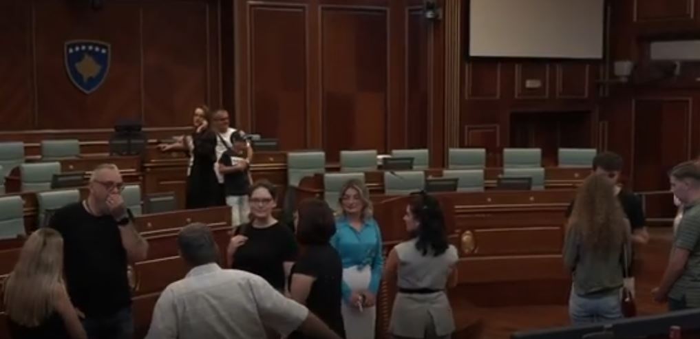 Vizita parlamentare: Diaspora s’i pëlqeu grushtet e deputetëve (VIDEO)