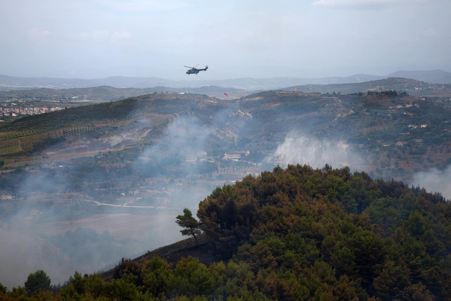 Situata me zjarret në Shqipëri, Peleshi: Ka përmirësim në orët e fundit