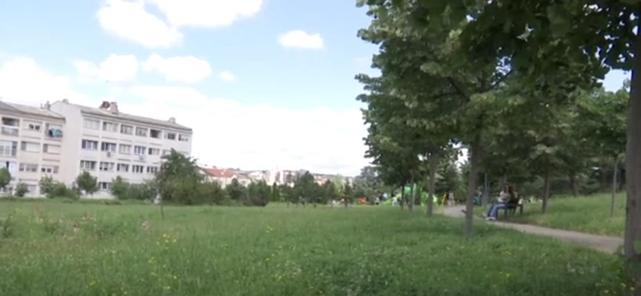Parqet mbushen me bari, Hortikultura e Komuna “s’kanë faj” (VIDEO)