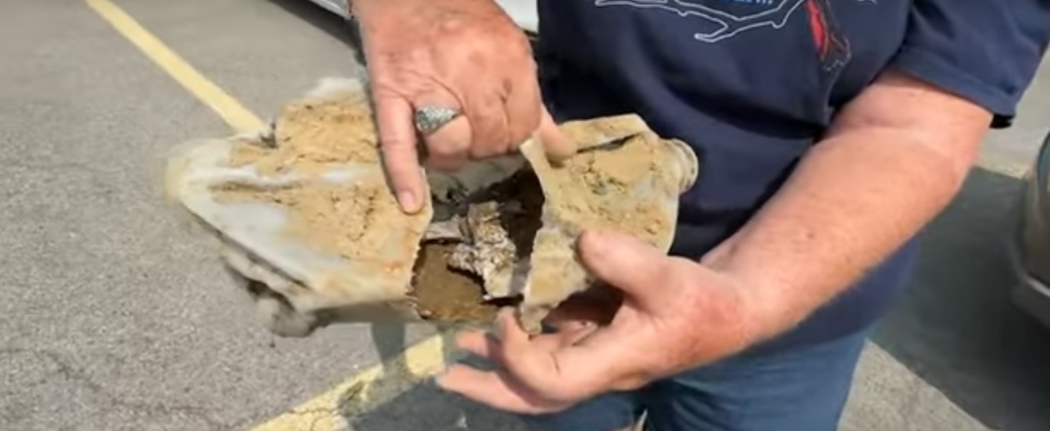 Gjendet kapsula e kohës nën pemën 26-vjeçare
