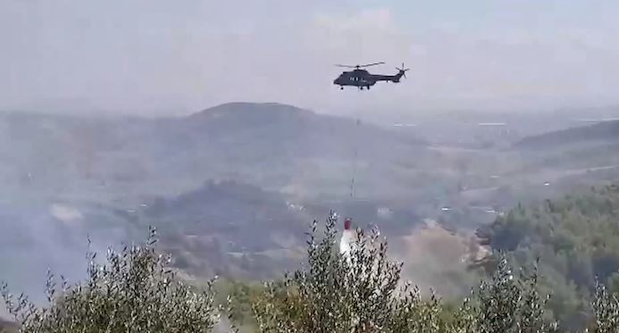 ​79 raste të zjarrvënieve, Rama apel prokurorëve dhe gjyqtarëve