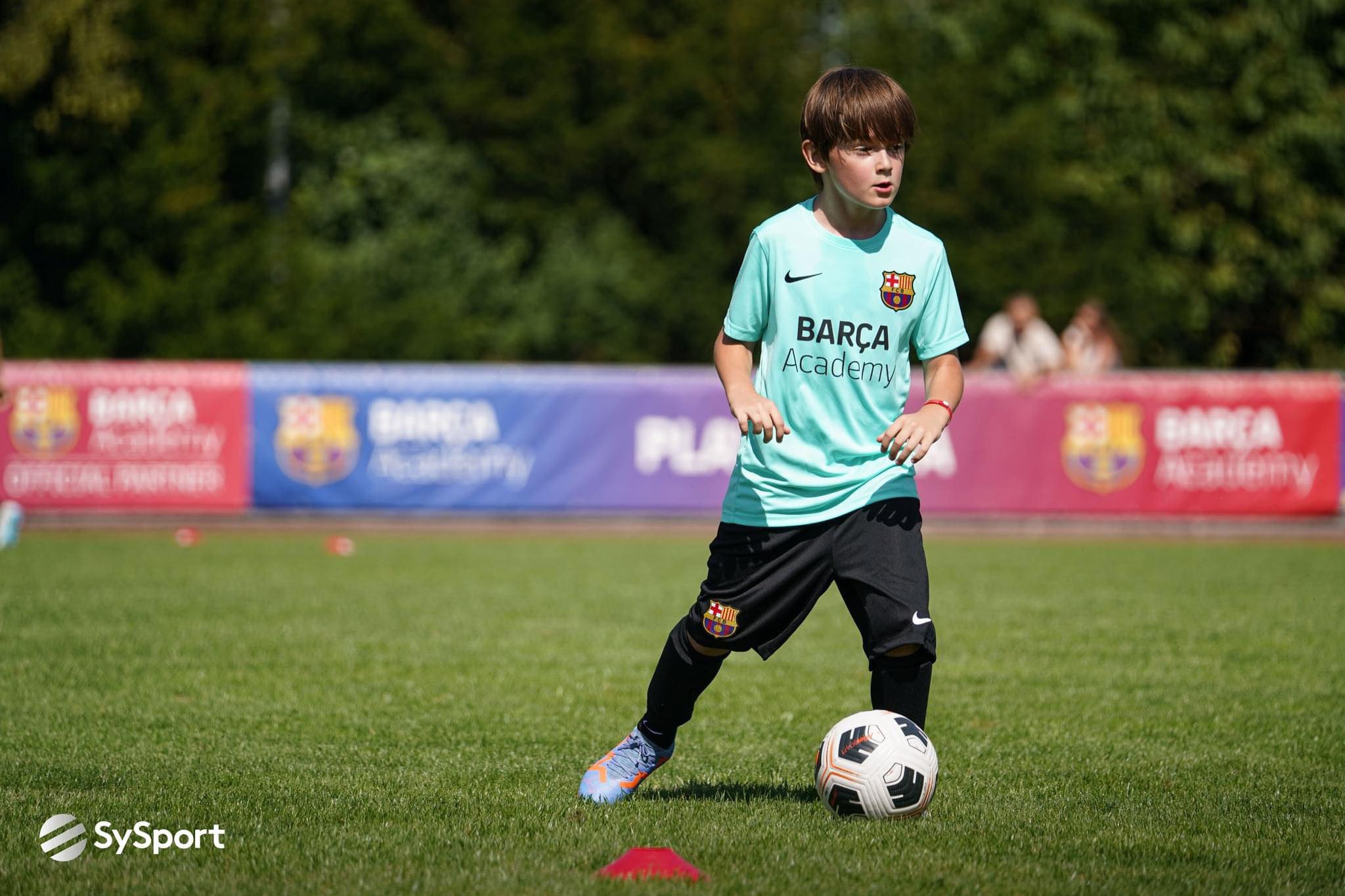 Ari Barca Camp