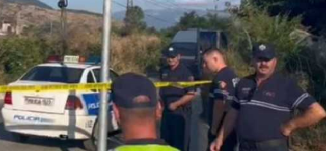 Plagosi gruan dhe të birin, 62-vjeçari në Maliq qëllohet për vdekje nga policia