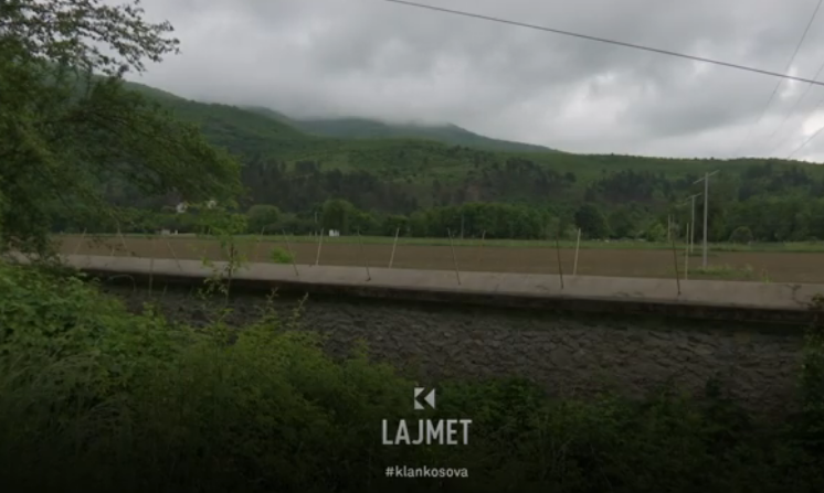 Rasti i parë: Doli të shëtis, mori ethet e minjve (VIDEO)