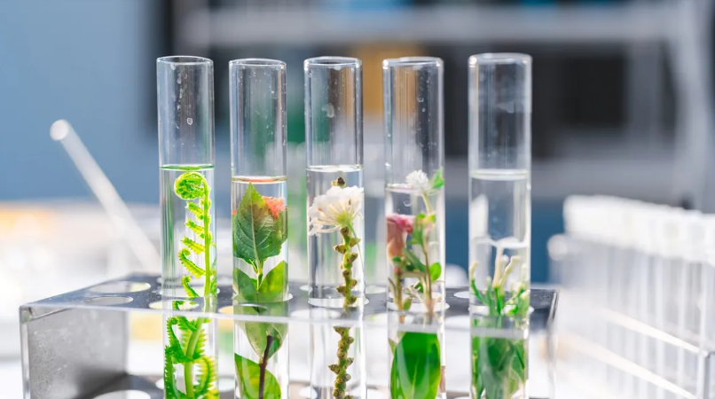 Laboratorët duhet të bëhen më të qëndrueshëm dhe anketat e reja zbulojnë se si