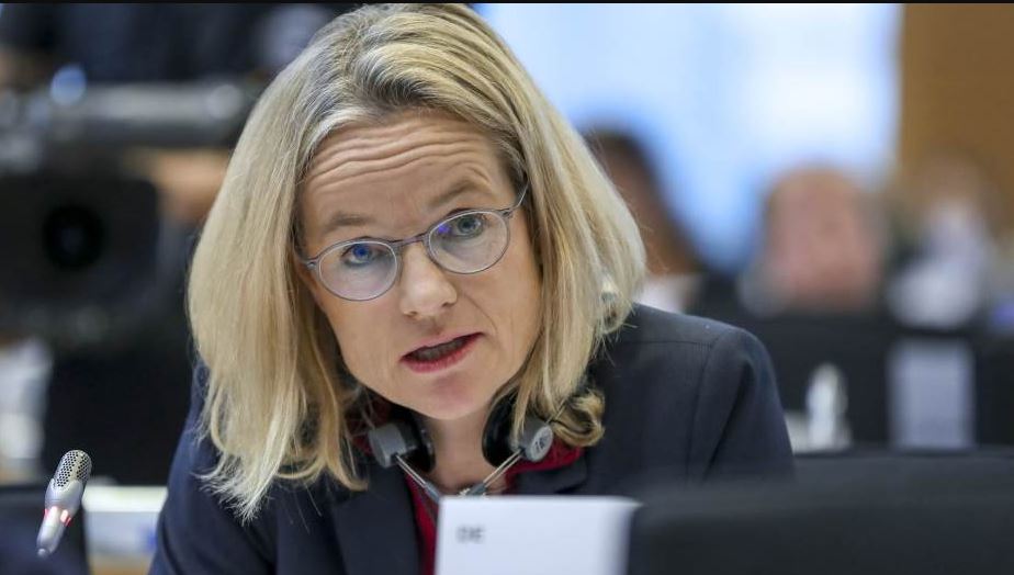 Raportuesja për Kosovën në Parlamentin Evropian, Viola von Cramon