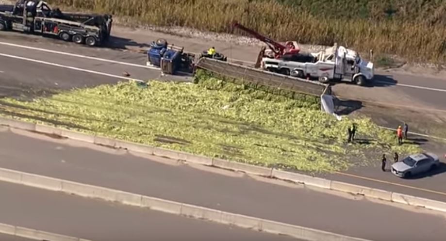 Kamioni rrokulliset, mbulon autostradën me selino (VIDEO)