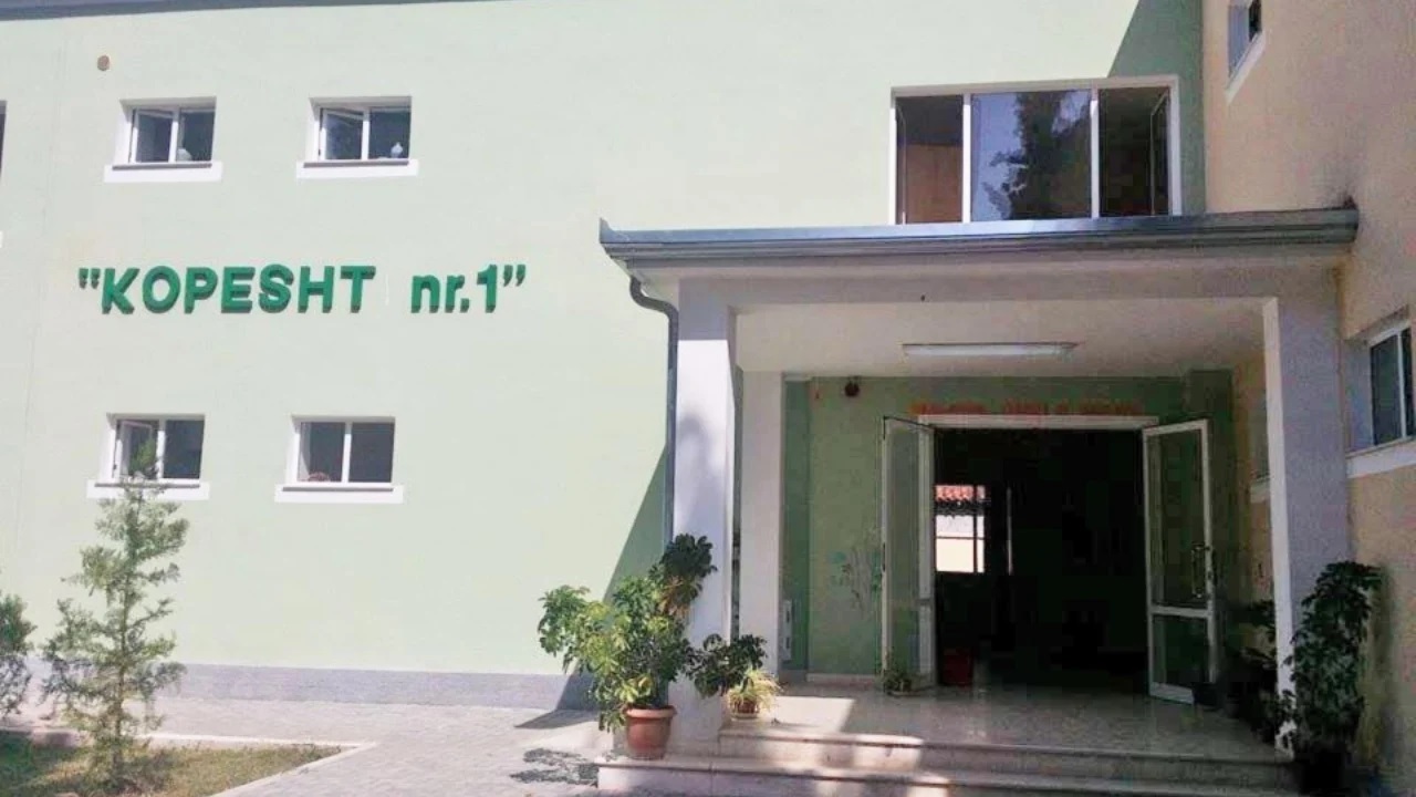 Shqipëri: Edukatorja dyshohet se ka keqtrajtuar një 5-vjeçar me autizëm