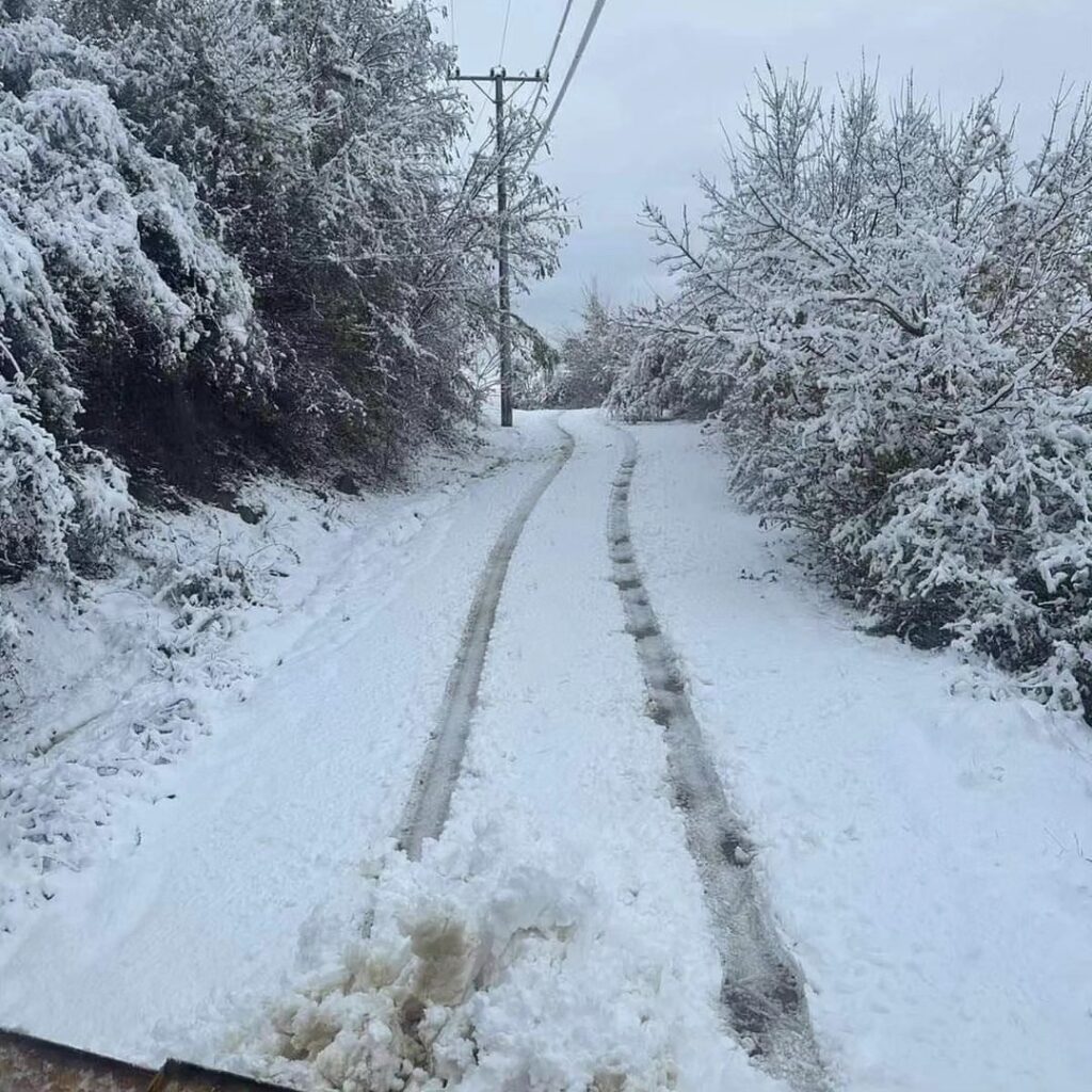 vushtrri bora pastrimi