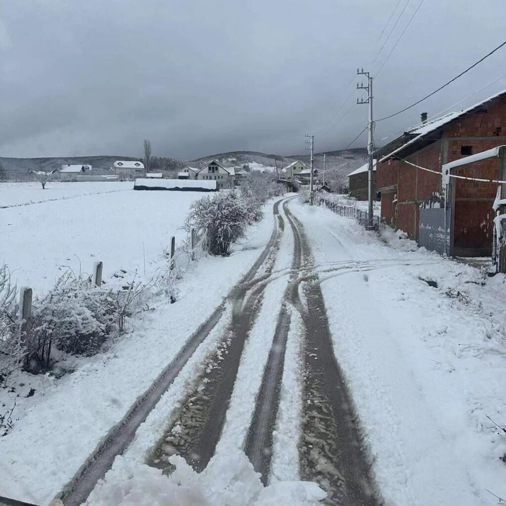 vushtrri bora pastrimi