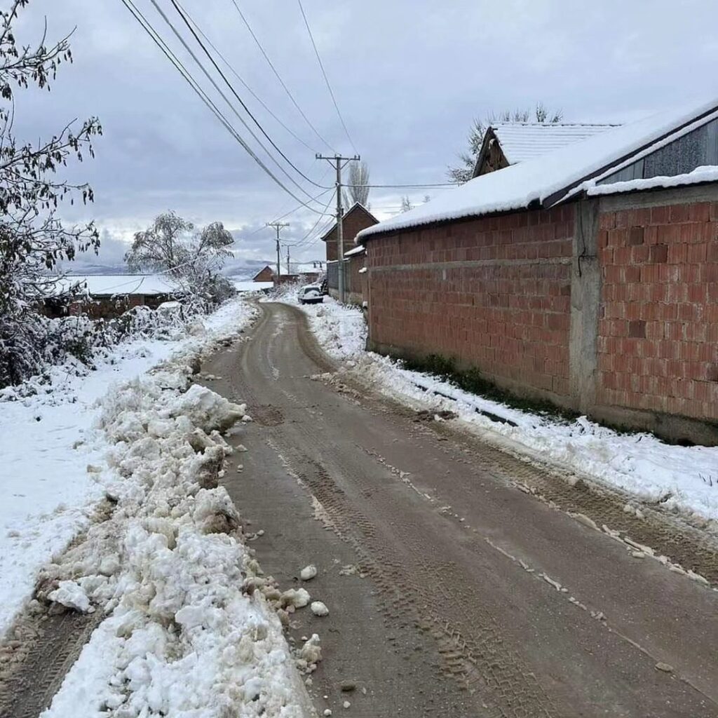 vushtrri bora pastrimi