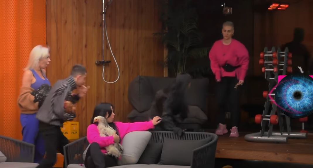Momenti kur u rrëzua Kader duke e ndjekur pulën (VIDEO)