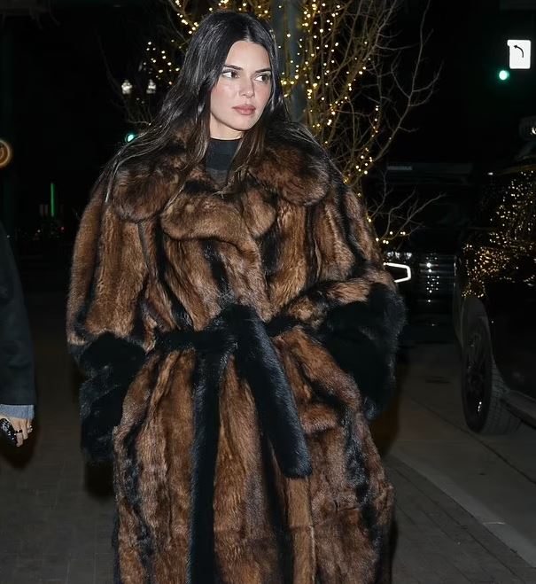 Kendall Jenner mahnitë me daljen e saj të fundit