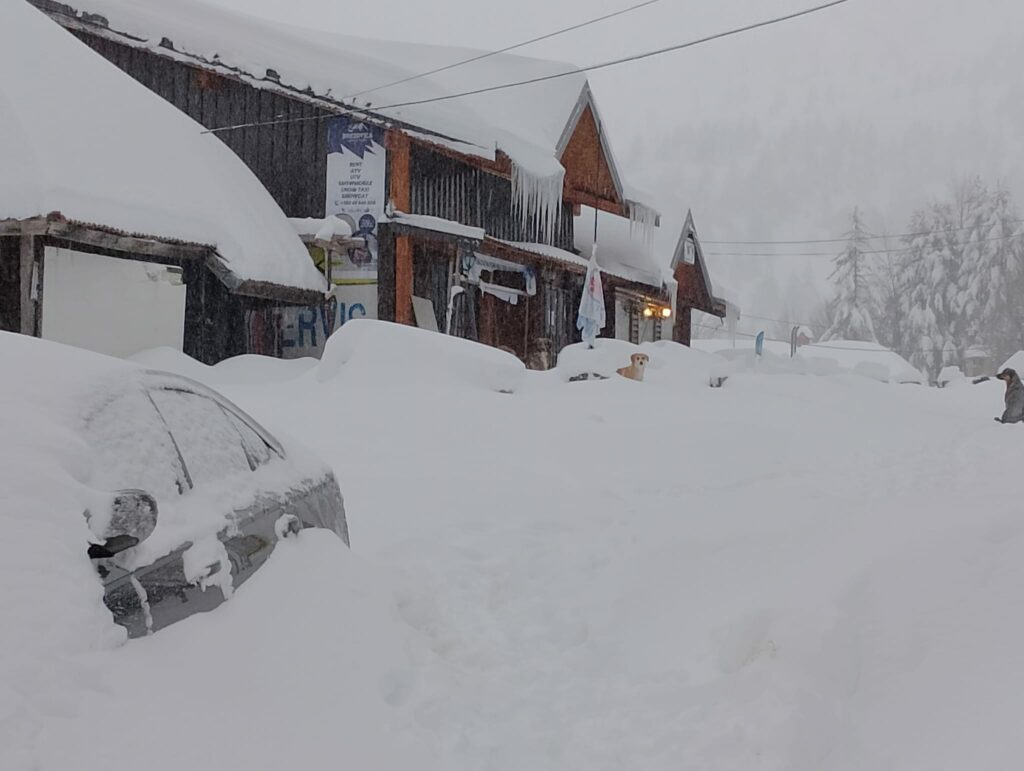 brezovica