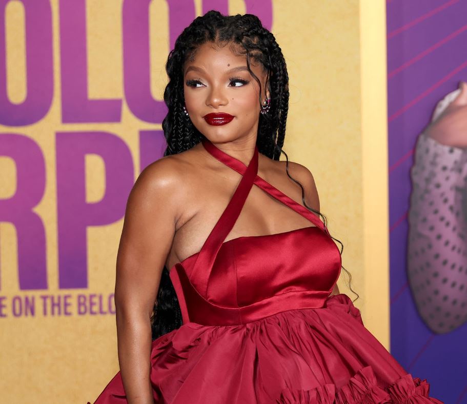Halle Bailey mahnit fansat, zbulon se ka lindur djalë