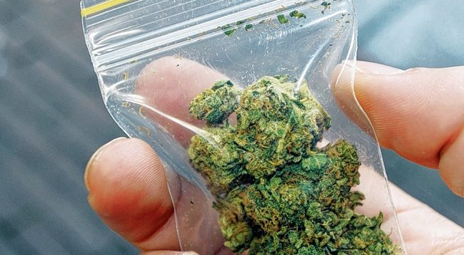 Arrestohet një person në Mitrovicë, policia i gjen drogë dhe peshore digjitale