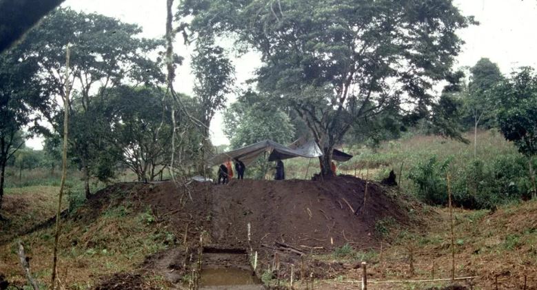 Gjendet një qytet i madh antik në Amazonë