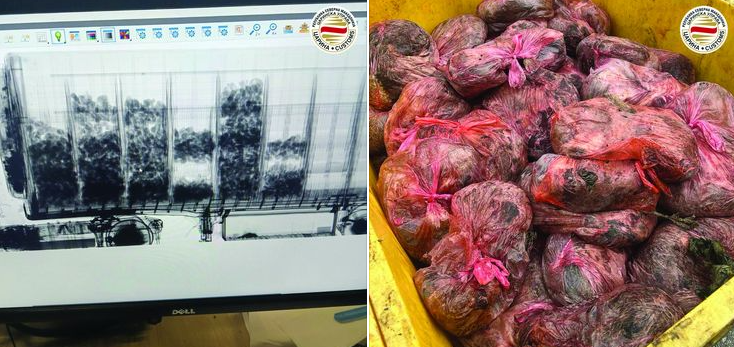 Maqedoni e Veriut: Dogana parandalon kontrabandë të 4.4 tonë mish gjahu