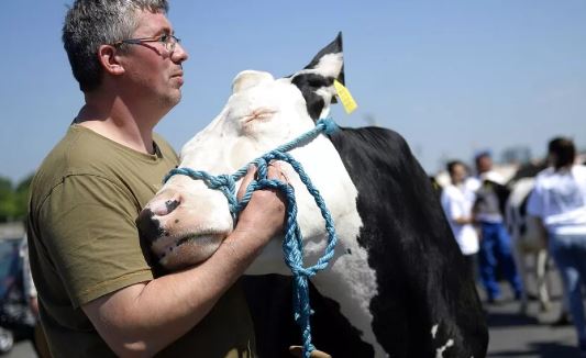 Fermerët hungarezë dhe polakë protestojnë përgjatë pikave kufitare me Ukrainën