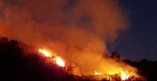 Zjarri në Orikum, erërat e forta favorizojnë përhapjen e flakëve