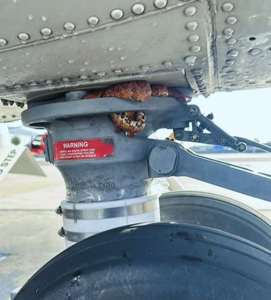 Gajrpri në rrotat e helikopterit