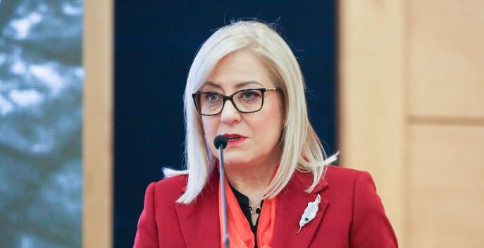 Nikolla me urim për Ditën e Pavarësisë – Dialogu mes Kosovës dhe Serbisë, rruga e vetme drejt paqes