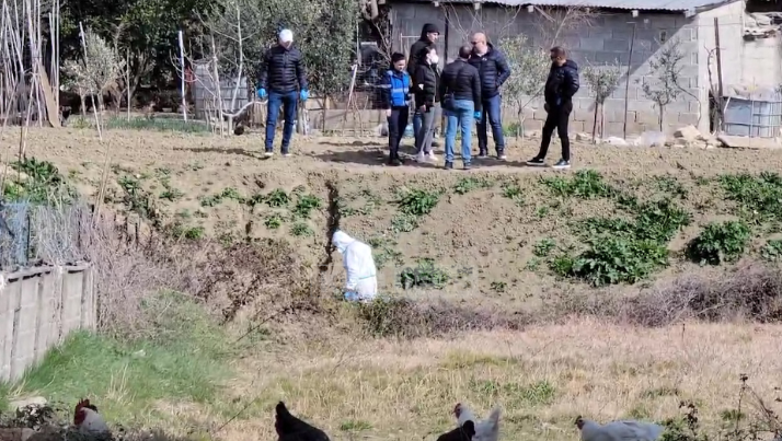 “Unë e qëllova babanë me katër plumba, motra mori përsipër fajin”, detaje të reja të vrasjes në Durrës