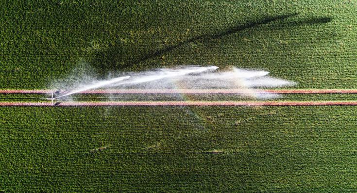 Pesticidet dhe herbicidet ndikojnë në sëmundjen e parkinsonit