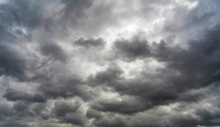 Foto ilustruese e motit të vranët.