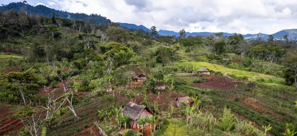 Tërmeti në Papua Guinenë e Re lë të vdekur 5 persona, qindra shtëpi shkatërrohen