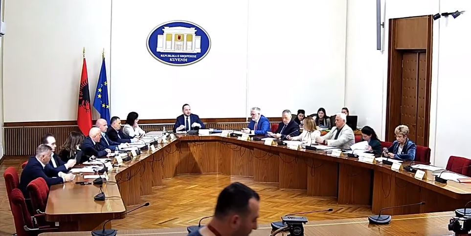 Nis me tension komisioni hetimor për TIMS-in në Shqipëri, Gogu-Salianjit: Mos u bëj gjyqtar i Berishës