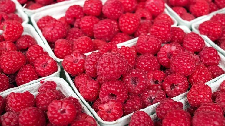 Tre lloje frutash që duhen ngrënë çdo ditë, sipas një dietologu