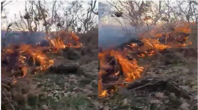 Zjarr në Maliq, flakët përfshijnë sipërfaqe të madhe toke në fshatin Shtiqas të Shqipërisë