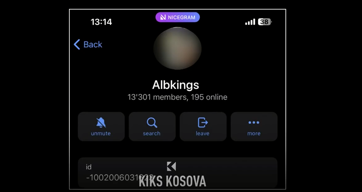 Grupi Albkings në Telegram