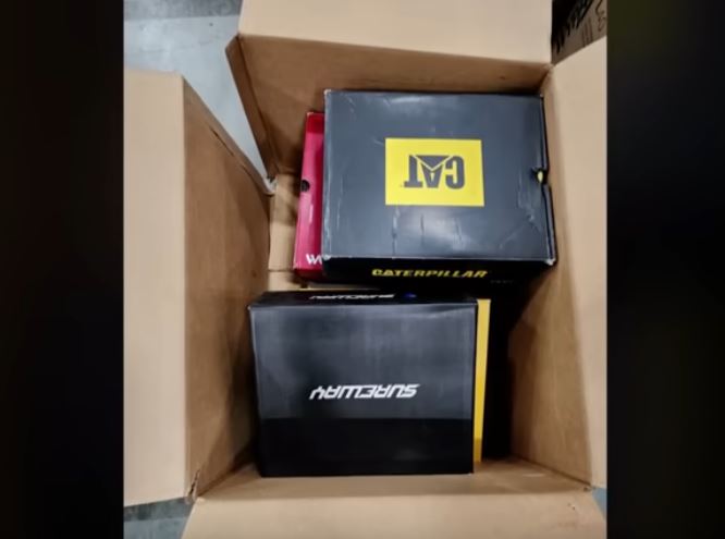 Macja udhëton 800 kilometra me paketën e kthimit të Amazon (VIDEO)