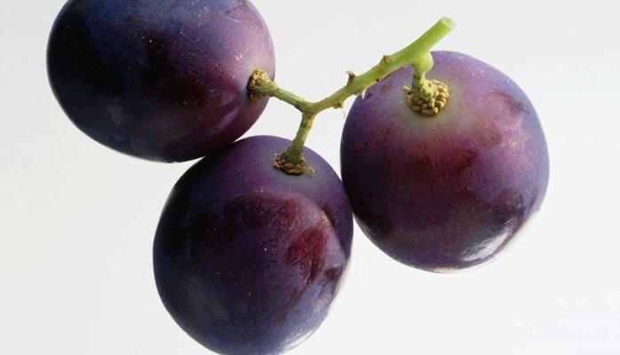 Mbytet një njëvjeçar pasi konsumoi një kokërr rrushi