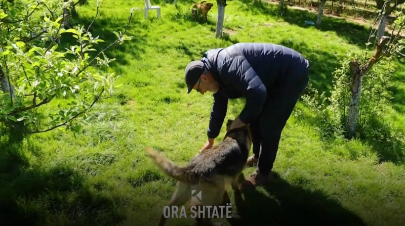 Njihuni me Sami Haxhën, adoptuesin e dhjetë qenve endacak të Prishtinës (VIDEO)