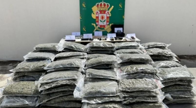 Policia spanjolle ka arrestuar një të ri shqiptar, dhe ka sekuestruar mbi 190 kilogramë marijuanë të paketuara.