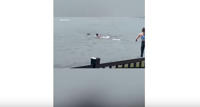 Burri hidhet në lumë për të shpëtuar qenin në New Jersey (VIDEO)