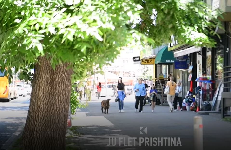 Ju flet Prishtina